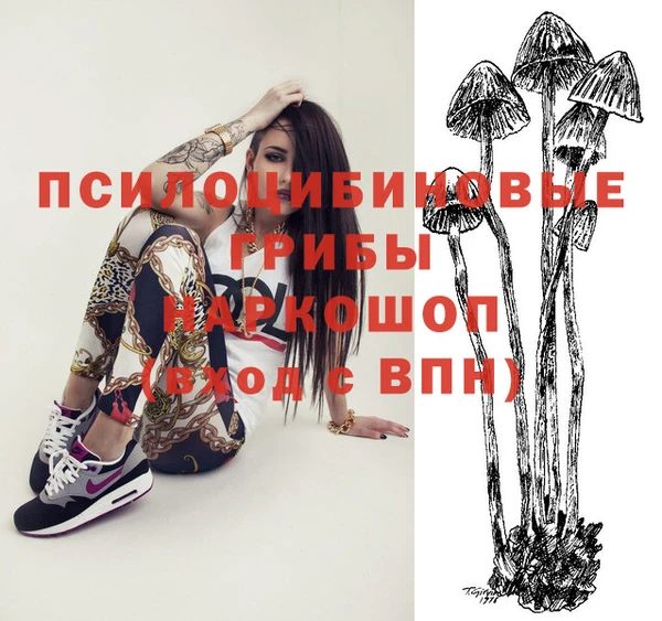 apvp Медногорск