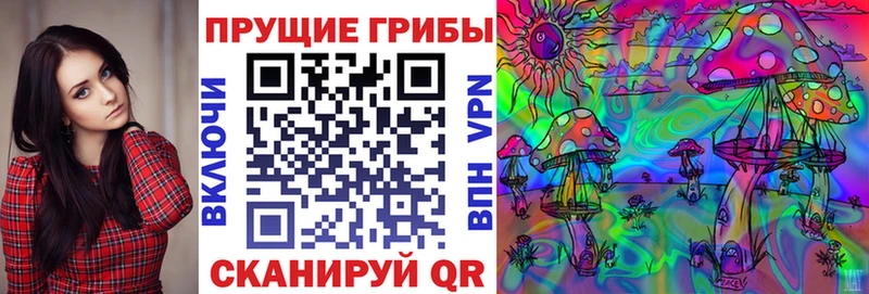 Галлюциногенные грибы Psilocybe  Тюмень 