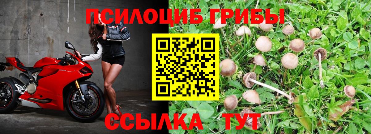 Галлюциногенные грибы Magic Shrooms Тюмень