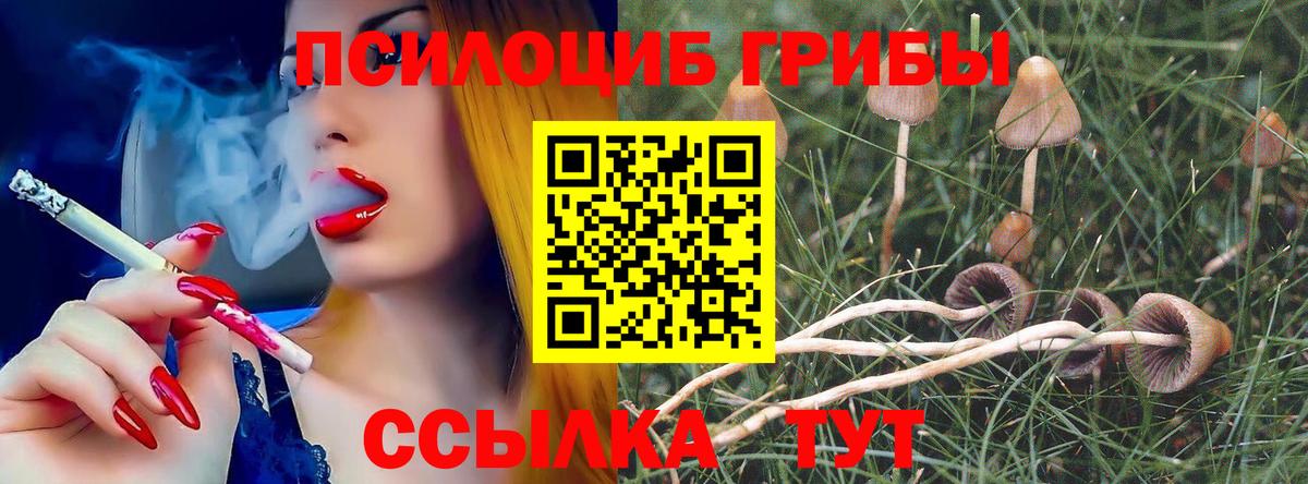 Тюмень  Псилоцибиновые грибы Psilocybine cubensis  Вход с VPN 